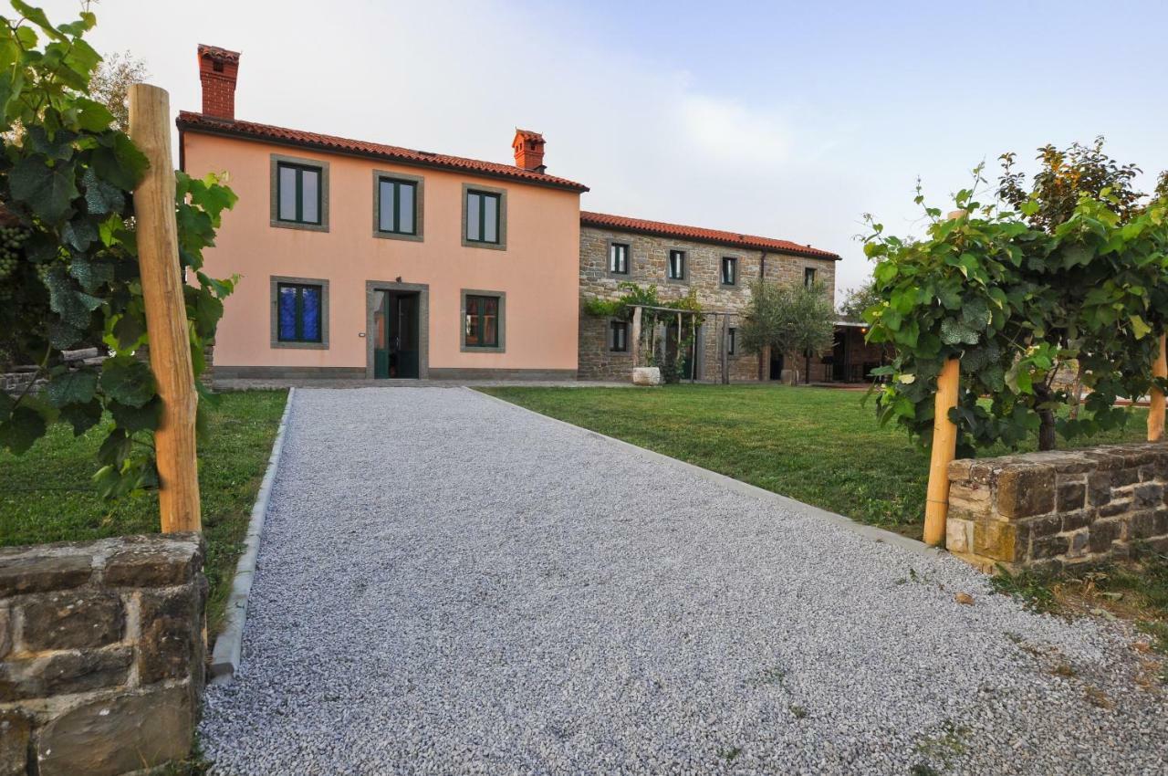 Gorgeous Istrian Villa Marezige Dış mekan fotoğraf